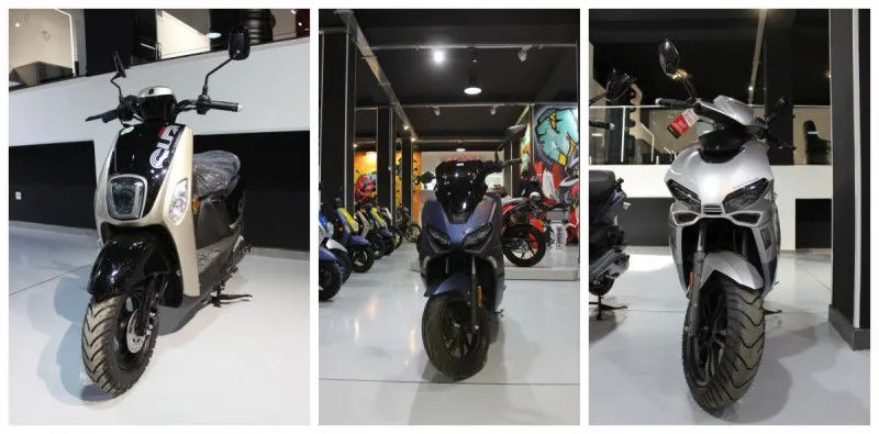 VMS تكشف عن خطتها لتصدير منتجاتها نحو الأسواق الإفريقية