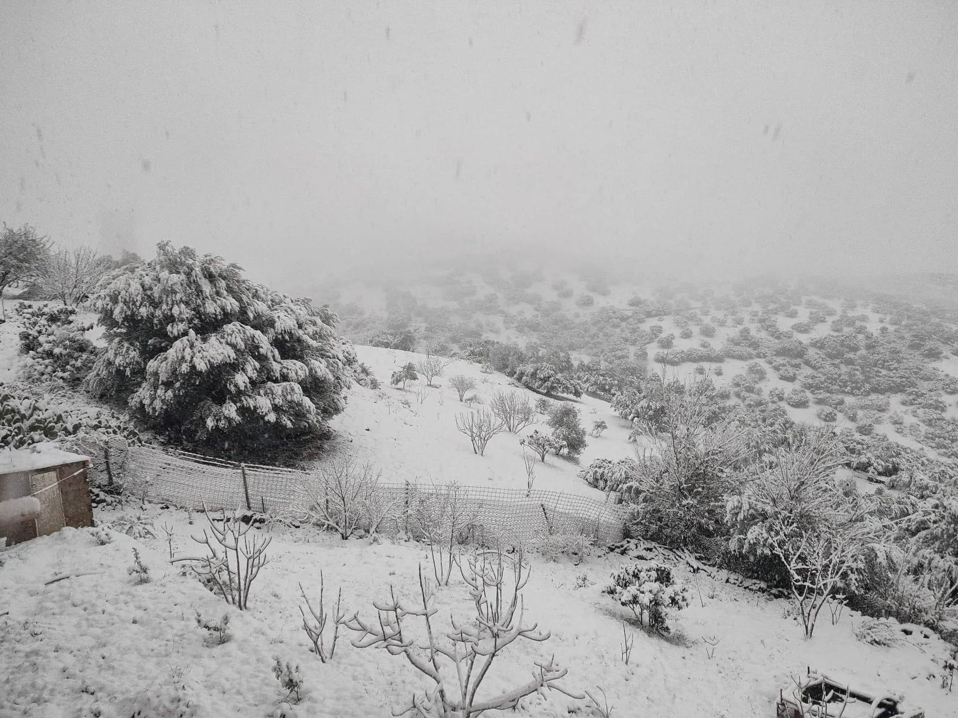 ثلوج كثيفة يصل سمكها إلى 15 سم في هذه المرتفعات