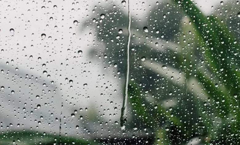 أمطار رعدية غزيرة تصل إلى 40 ملم على هذه الولايات