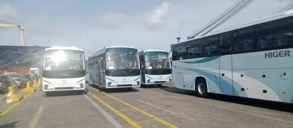 وصول أول شحنة من الحافلات الجديدة إلى ميناء الجزائر