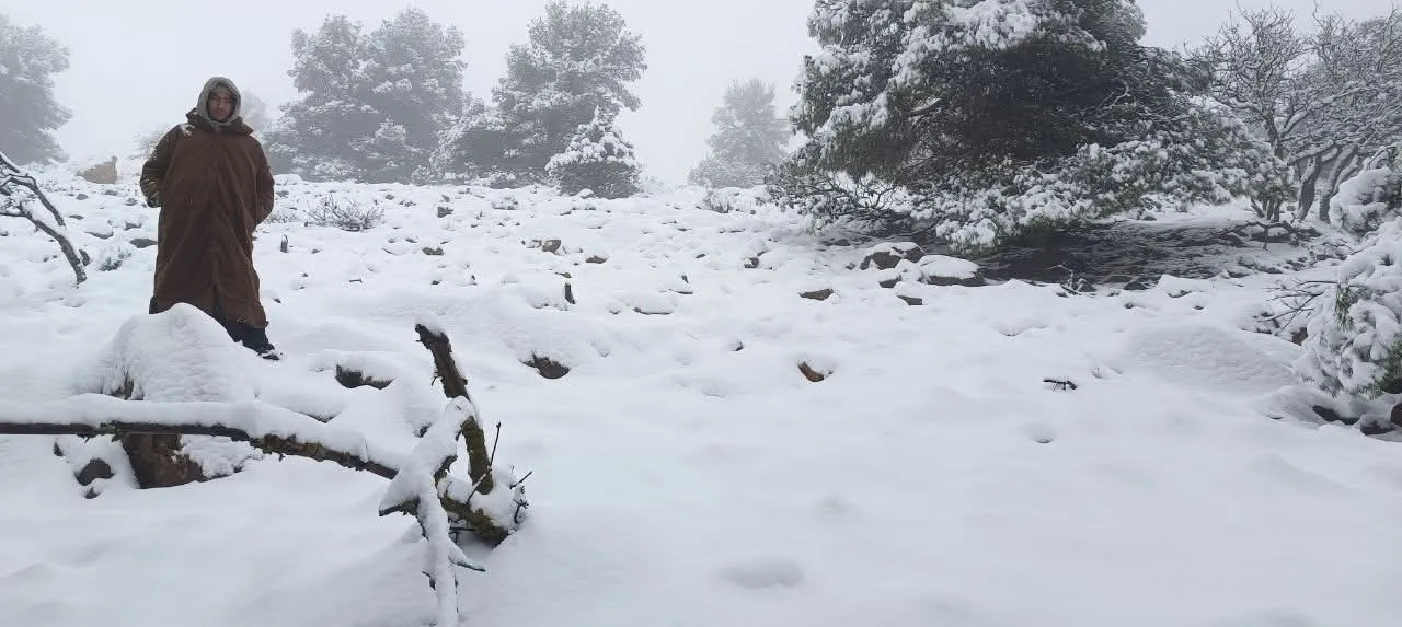 ثلوج في المرتفعات يصل سمكها إلى 20 سم