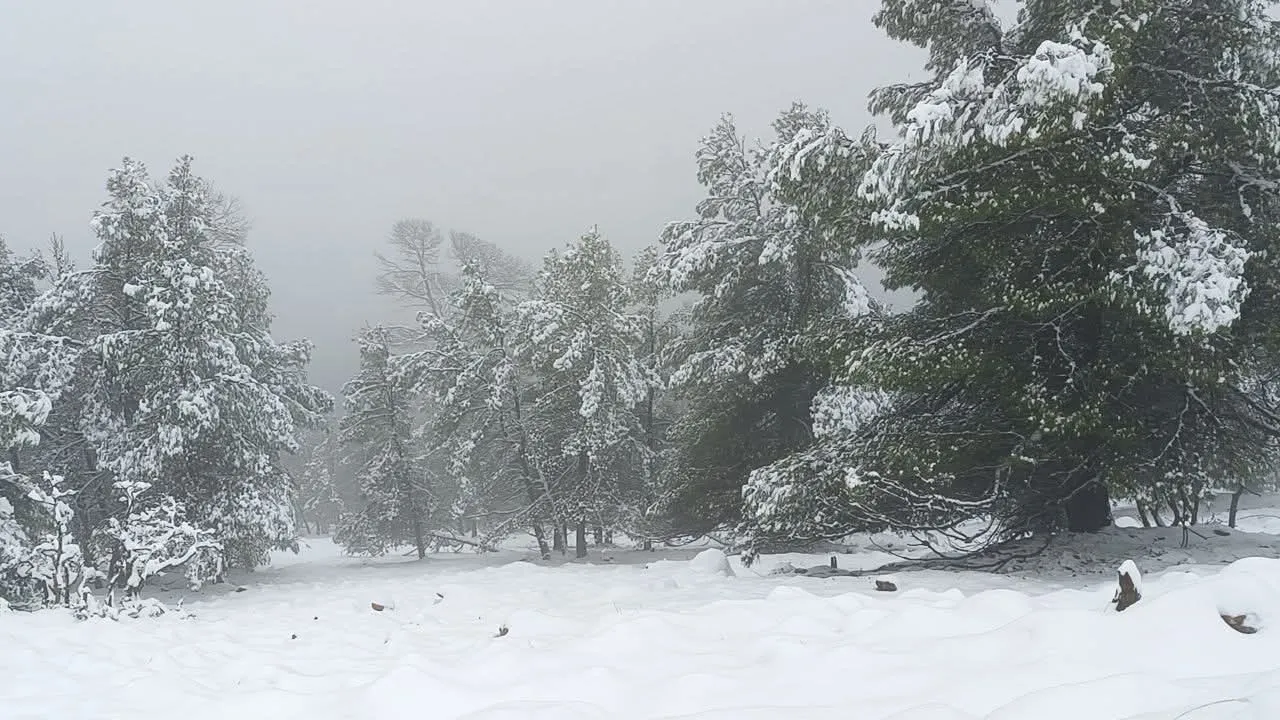 ثلوج كثيفة على المرتفعات التي يفوق علوها 1000 متر