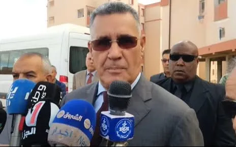 قرار رئيس الجمهورية بإنشاء مصنع لمعالجة خام الحديد خطوة استراتيجية