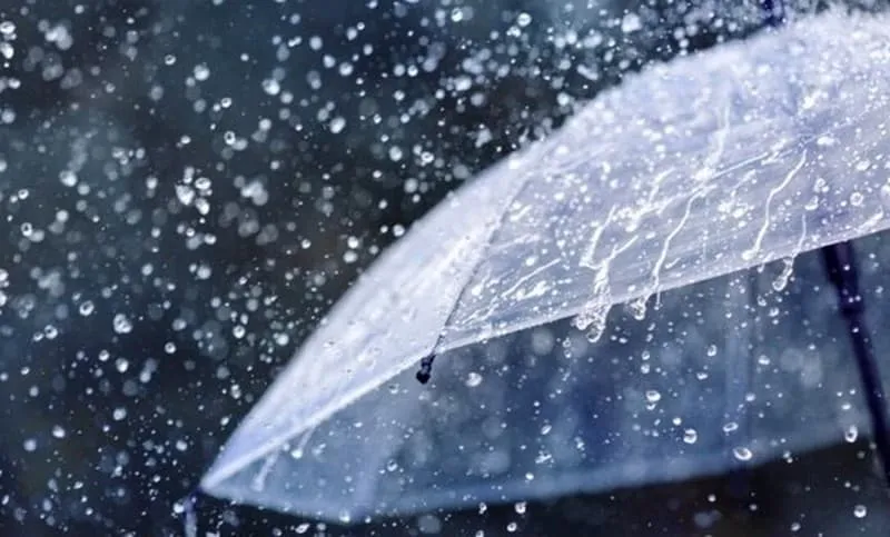 أمطار رعدية معتبرة محليا في هذه الولايات