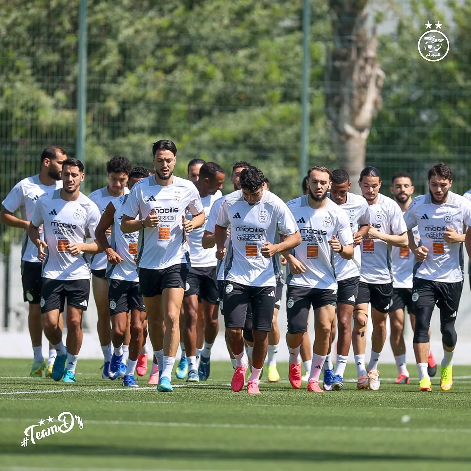 المنتخب الوطني يجري آخر حصة تدريبية قبل التوجه إلى هولندا