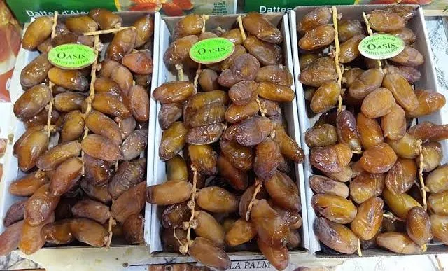 دقلة نور من أجود وأفضل التمور في العالم