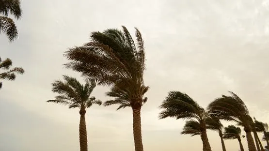 أمطار رعدية ورياح قوية مع تسجيل ارتفاع في درجات الحرارة