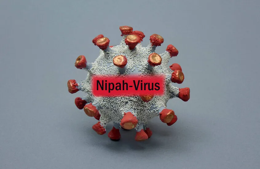 الصحة العالمية: خطر انتشار فيروس نيباه خارج الهند منخفض