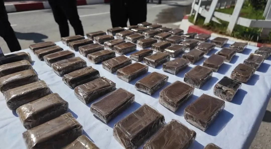 توقيف 14 شخص وضبط قرابة 25 كلغ من الكيف المعالج