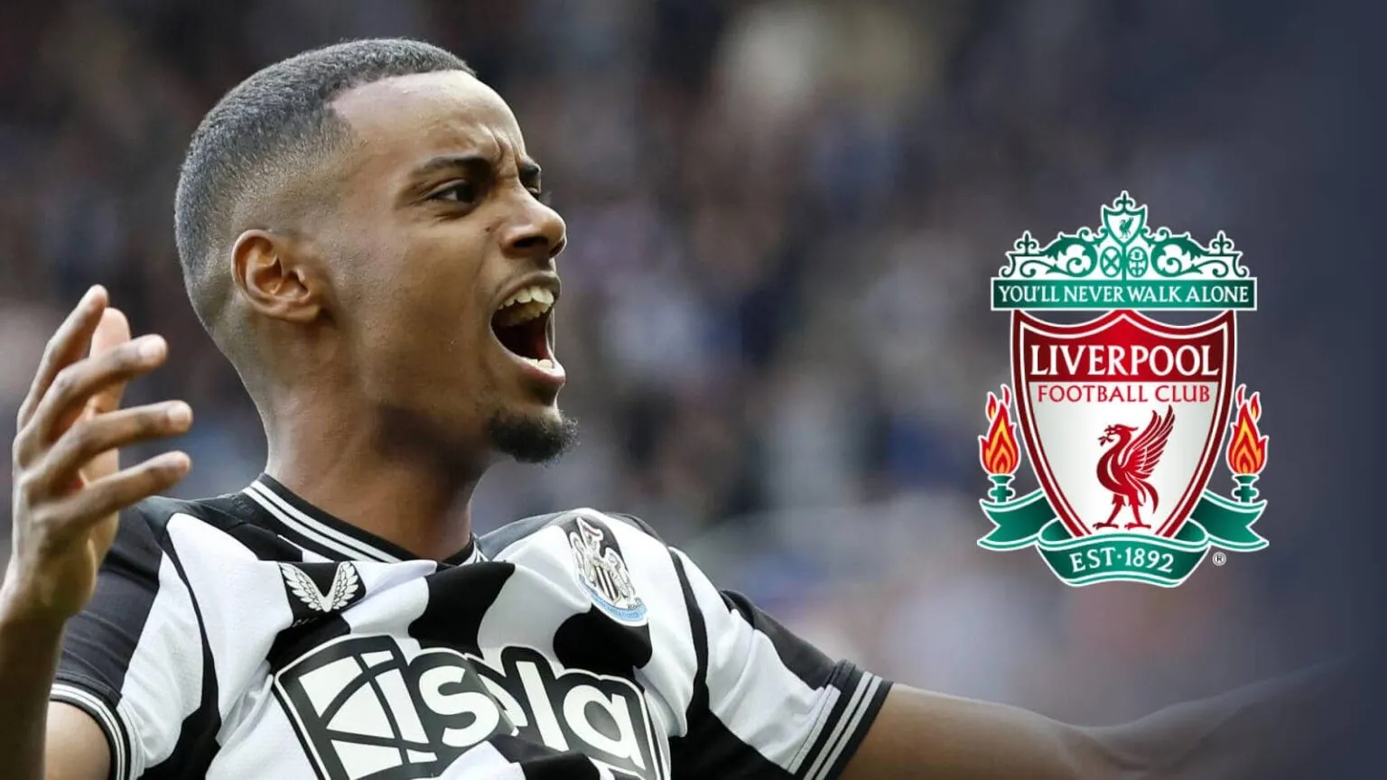 ليفربول يُجهز صفقة تاريخية بـ150 مليون يورو لخطف نجم نيوكاسل