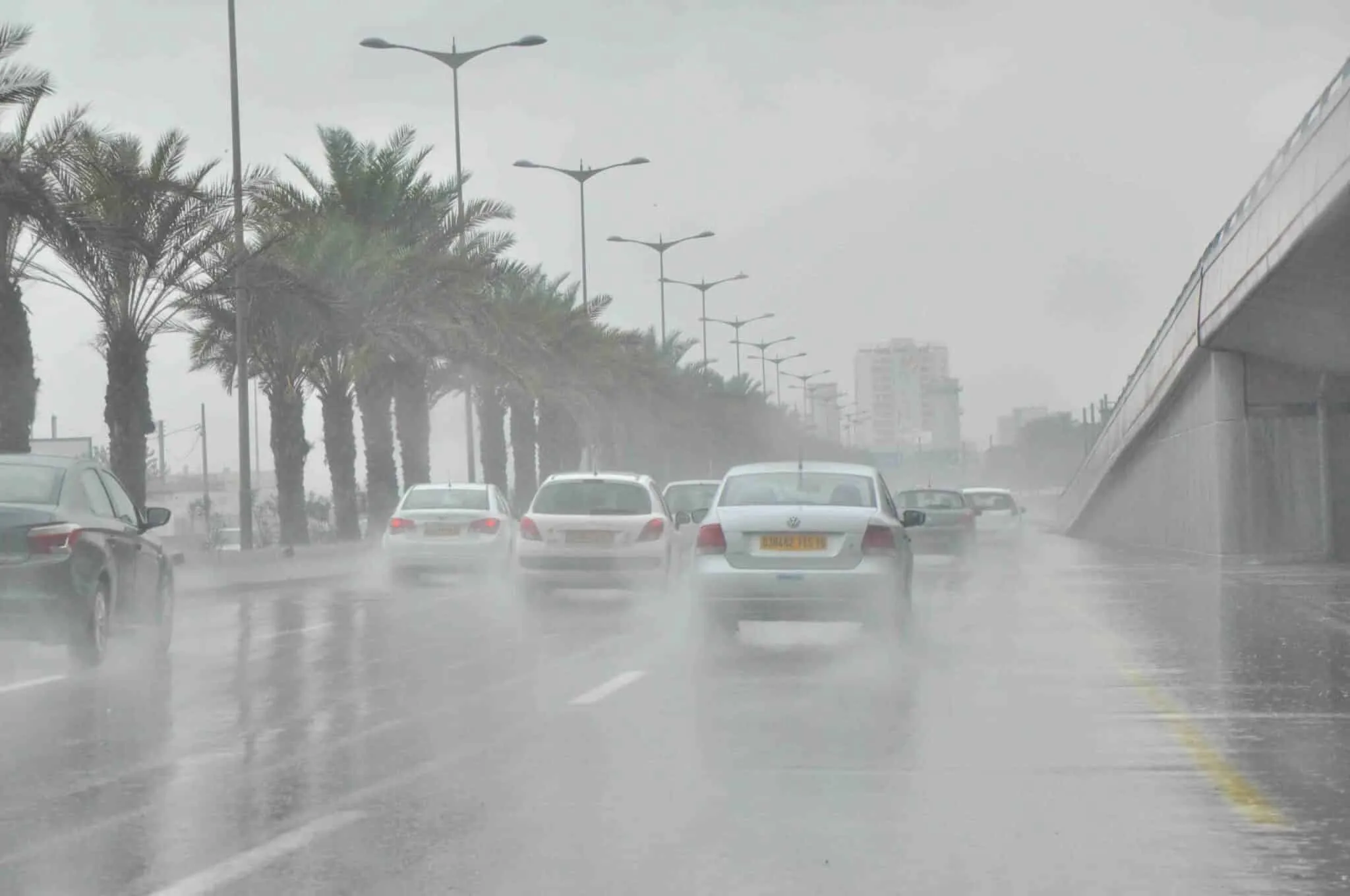 أمطار رعدية غزيرة تتعدى 70 ملم في هذه الولايات
