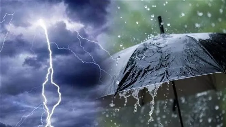 أمطار رعدية غزيرة وهبوب رياح قوية في هذه الولايات