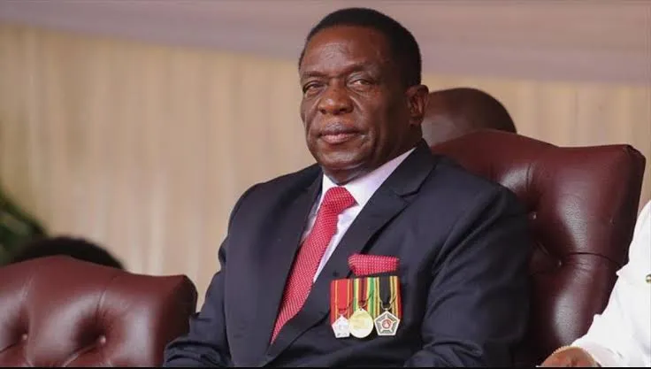 رئيس زيمبابوي يضع إكليلا من الزهور بمقام الشهيد