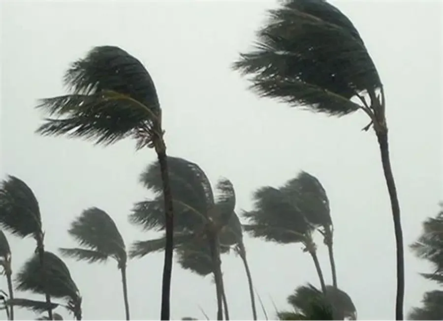 نشرية خاصة تحذر من رياح قوية تتعدى 90كلم/سا في هذه الولايات