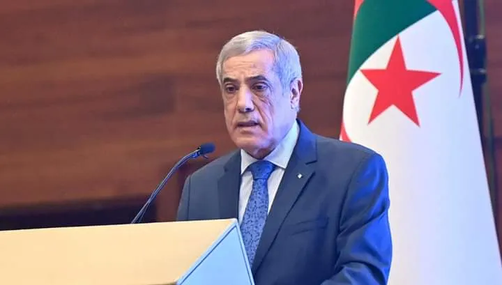 الوزير الأول نذير العرباوي يتوجه إلى أوساكا اليابانية
