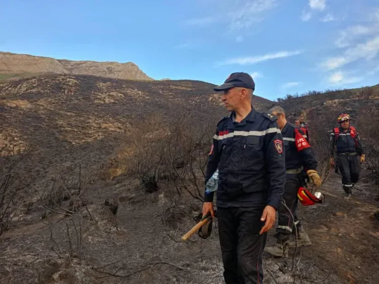 إخماد 25 حريقا في 10 ولايات