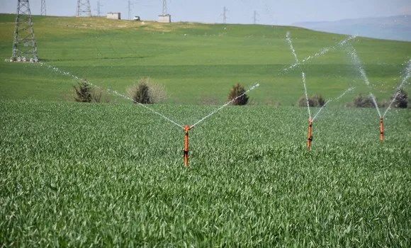 سونلغاز: ربط نحو 103 آلاف مستثمرة فلاحية بالشبكة الكهربائية