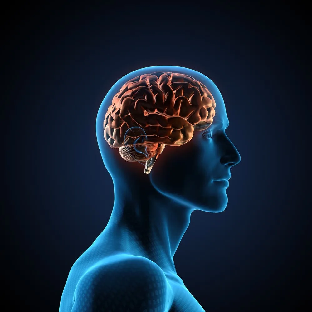 دراسة: حديثك مع نفسك قد يغيّر طريقة عمل دماغك