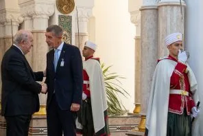 رئيس الجمهورية يستقبل الوزير الأول التشيكي أندريه بابيش
