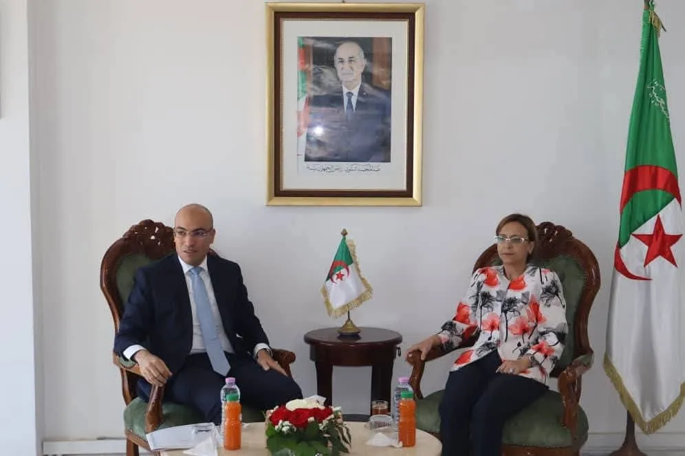 شايب: تعبئة الكفاءات الوطنية بالخارج تندرج ضمن أولويات العمل الحكومي