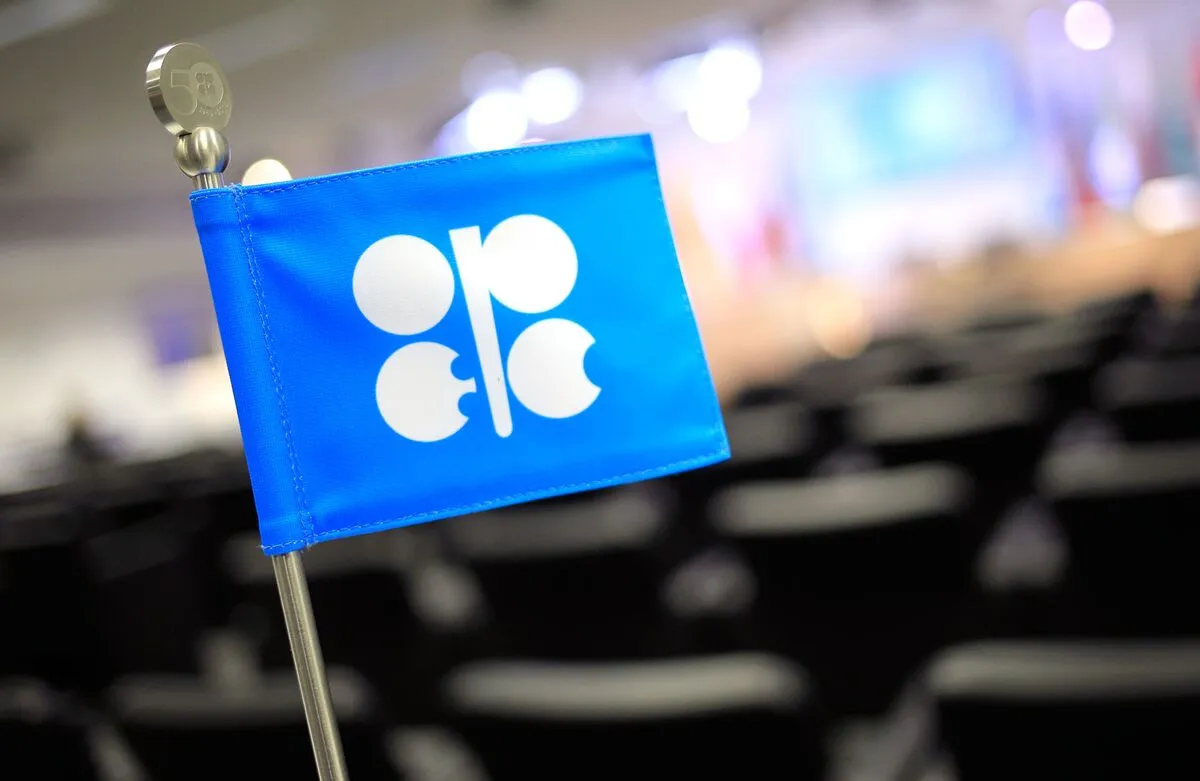 أوبك توافق على  تمويل بقيمة 2 مليار دولار للدول الأفريقية