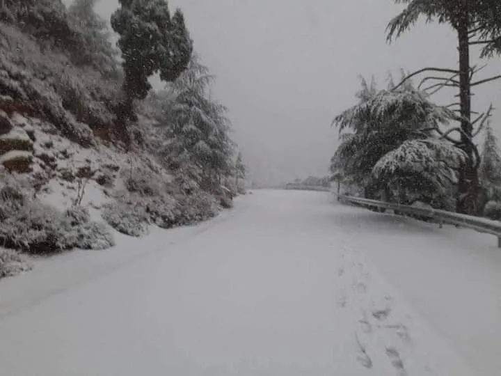 استمرار تساقط الثلوج في المرتفعات