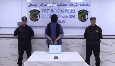 العاصمة: الحبس لامرأة تروج خطاب الكراهية ضد منطقة في التيك توك