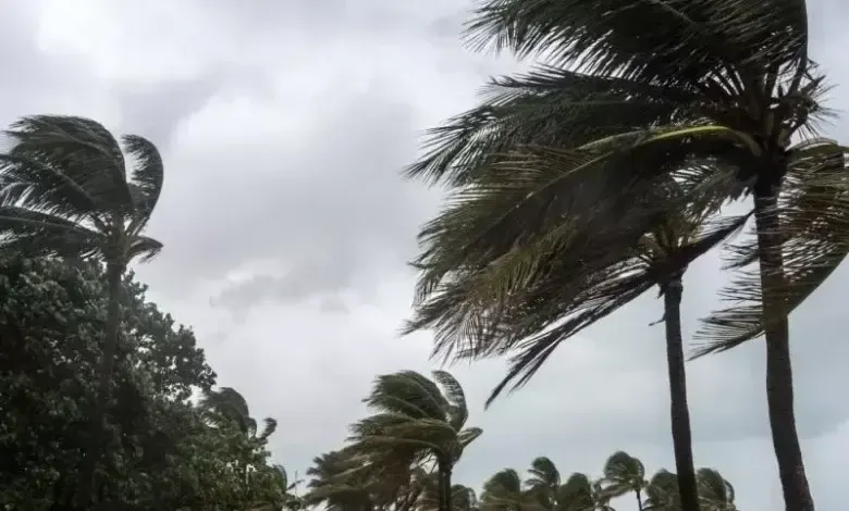 رياح قوية تتعدى سرعتها 90 كلم/سا