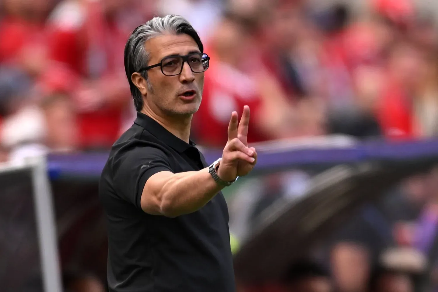 مدرب سويسرا يشيد بقوة المنتخب الجزائري قبل المواجهة