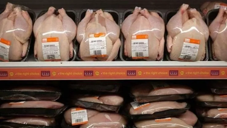 330 دج/كغ.. الشروع في ضخ كميات معتبرة من الدجاج المجمد