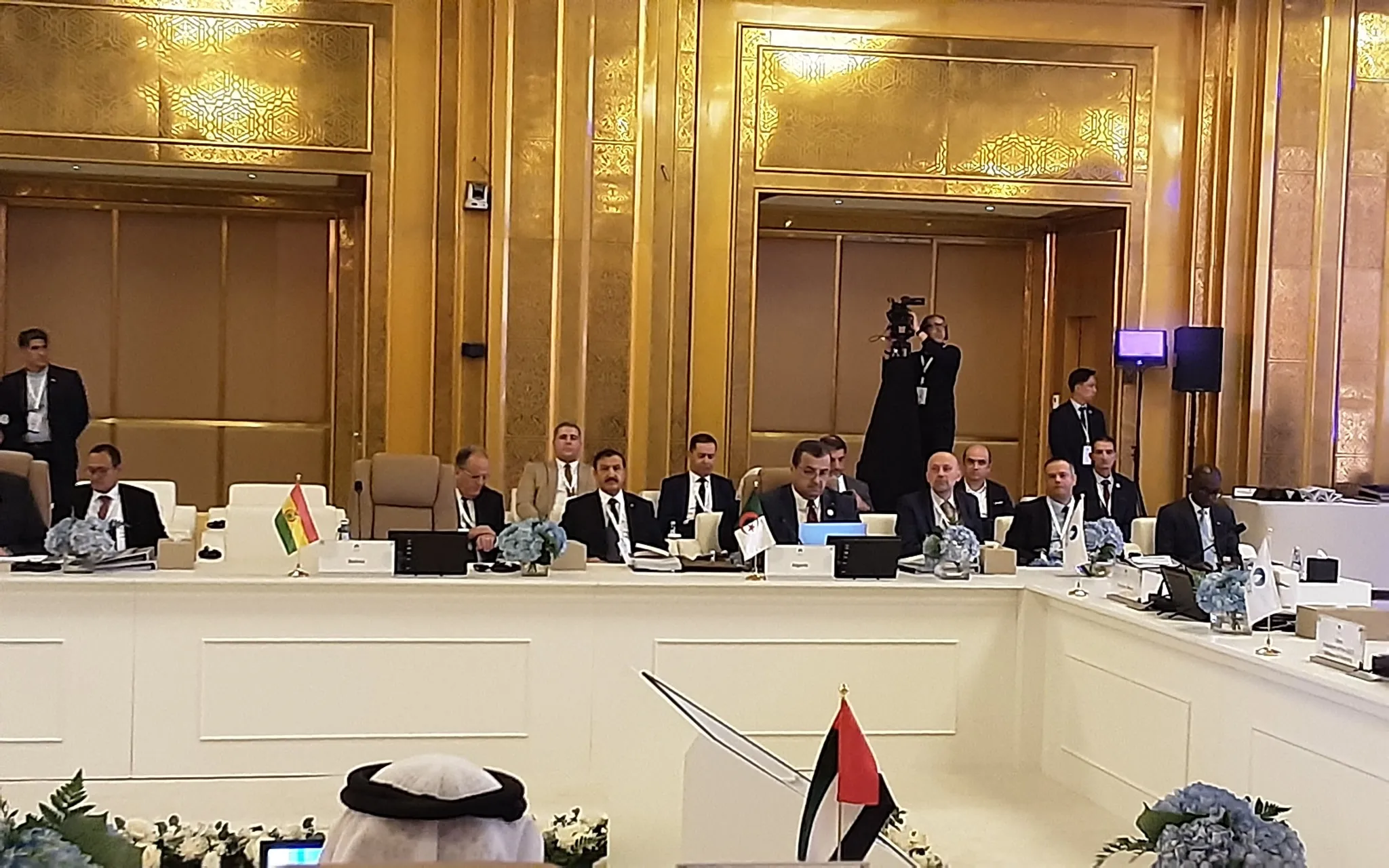 عرقاب يشدد على أهمية استقرار وأمن أسواق الغاز الطبيعي