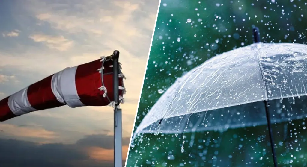 أمطار رعدية غزيرة ورياح قوية في هذه الولايات