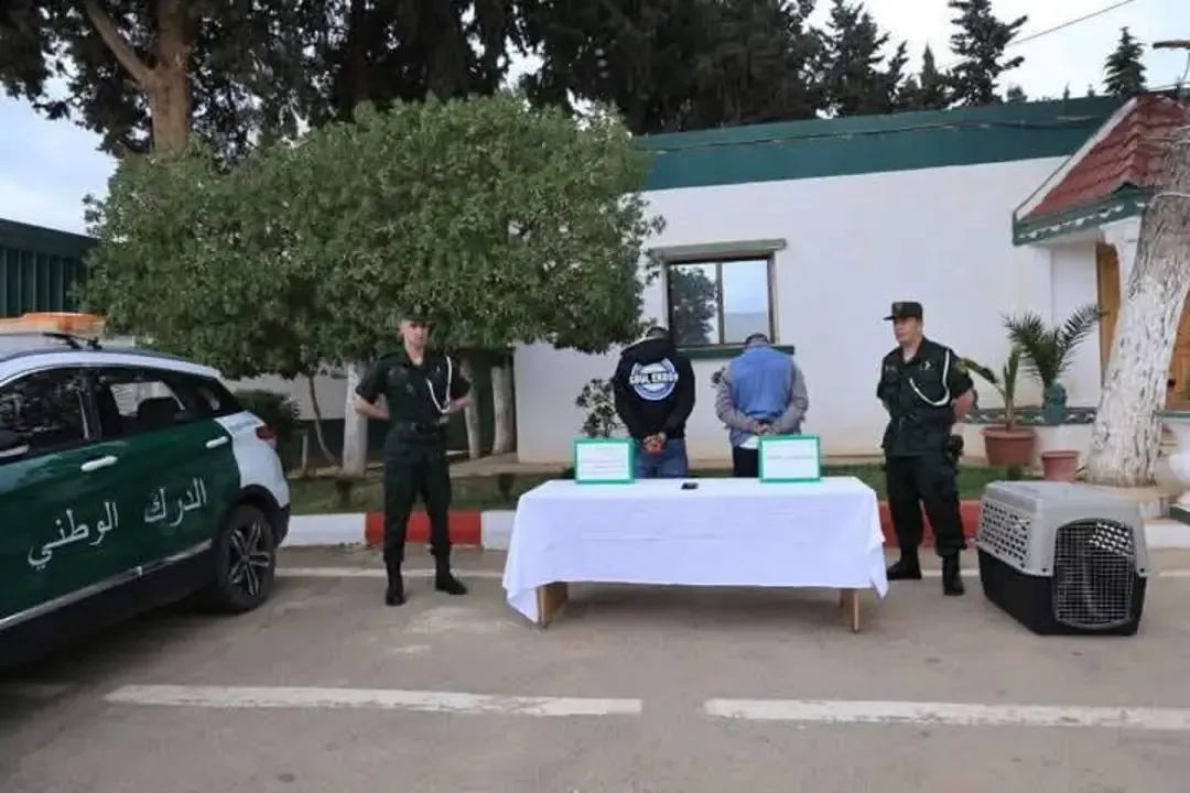 توقيف شخصين اعتديا على قاصر بواسطة كلب