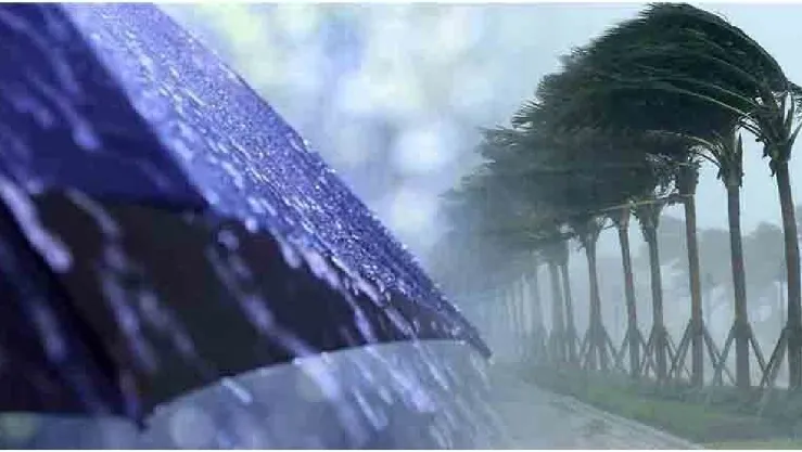 رياح جد قوية وأمطار غزيرة في هذه الولايات