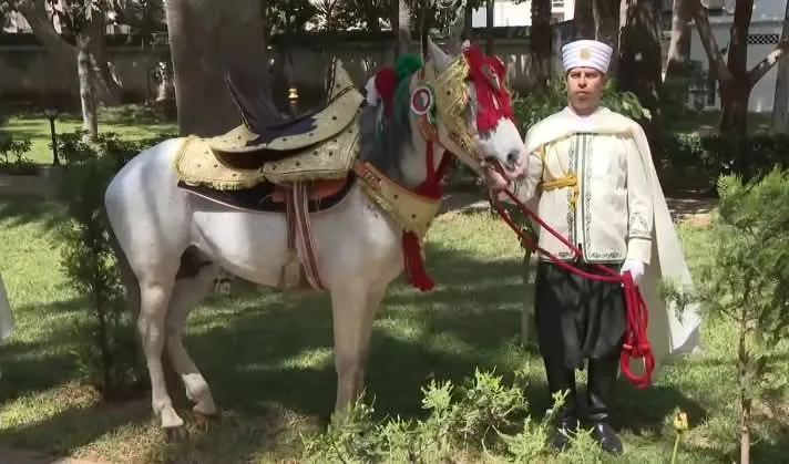 رئيس الجمهورية يُهدي سلطان عمان حصانا بربريا أصيلا