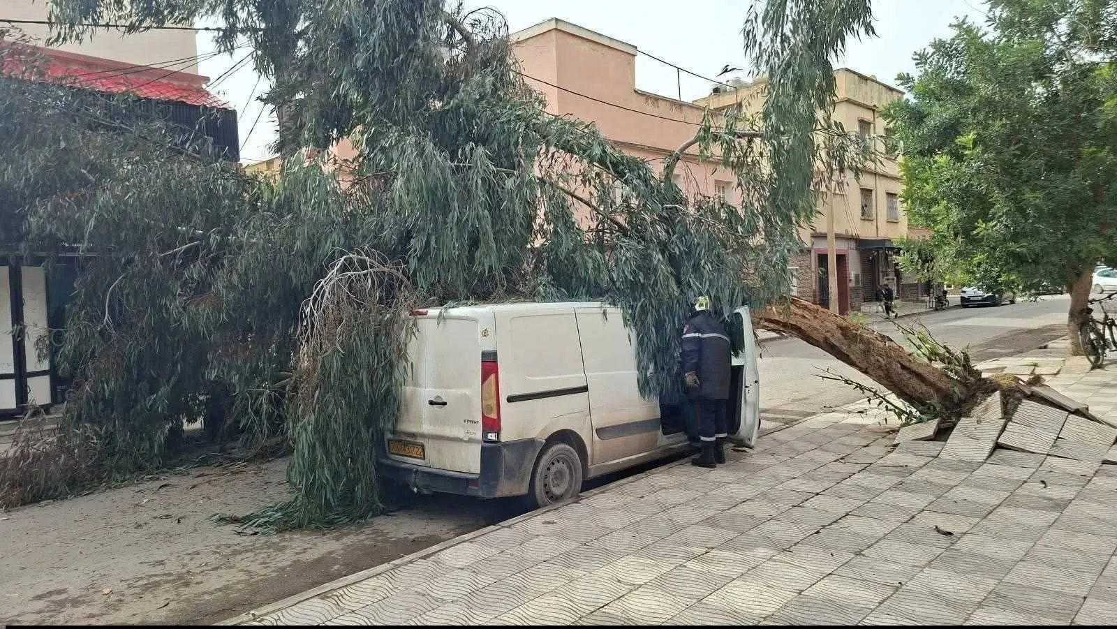الحماية المدنية تكشف مخلفات الرياح