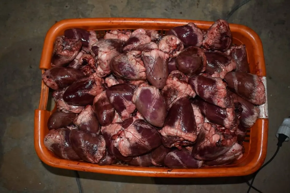 حجز أزيد من 1.5 قنطار من أحشاء الغنم بالبيض