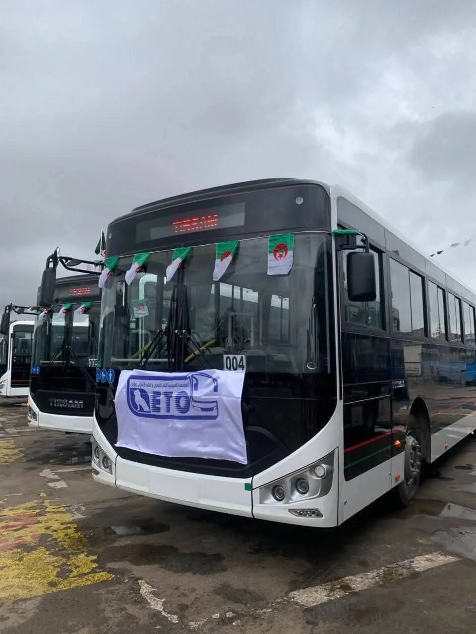 ميناء الجزائر: استلام 251 حافلة من مختلف الأصناف