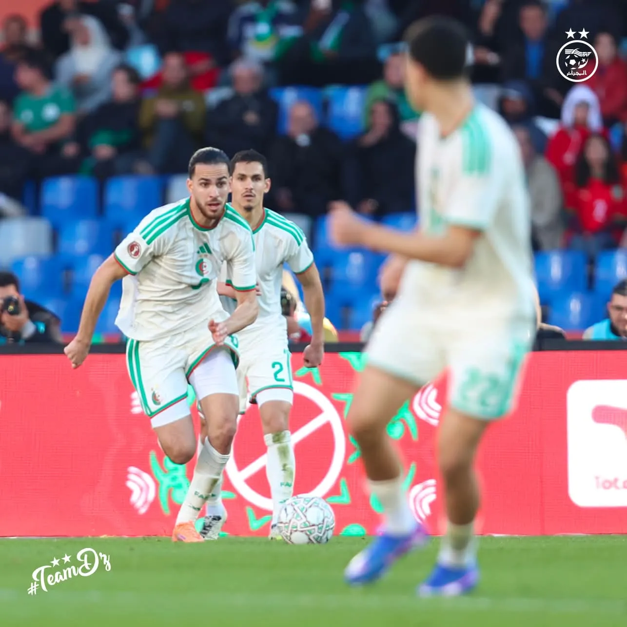 بيتكوفيتش: أتحمل مسؤولية الأخطاء والخيارات التي قمت بها