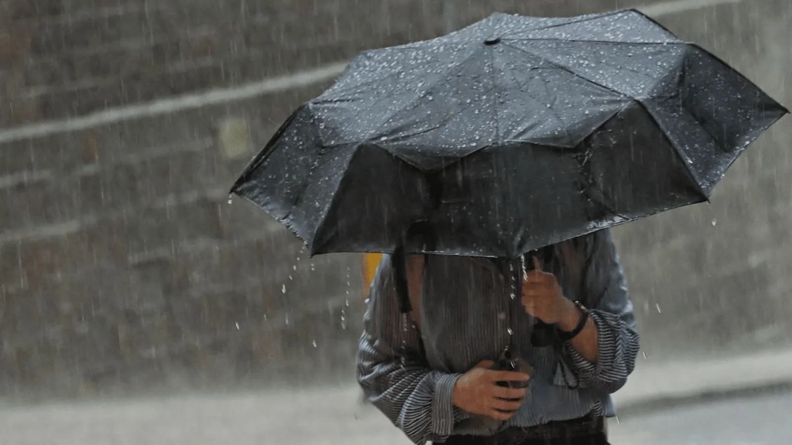 أمطار رعدية معتبرة محليا في هذه الولايات