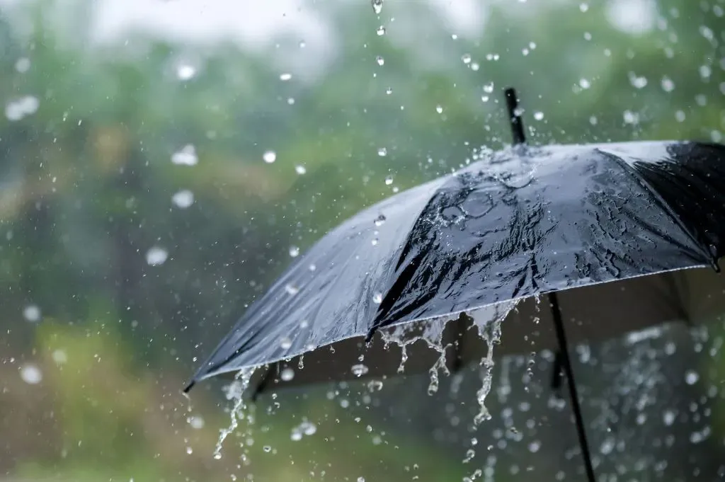 أمطار رعدية على عدة ولايات