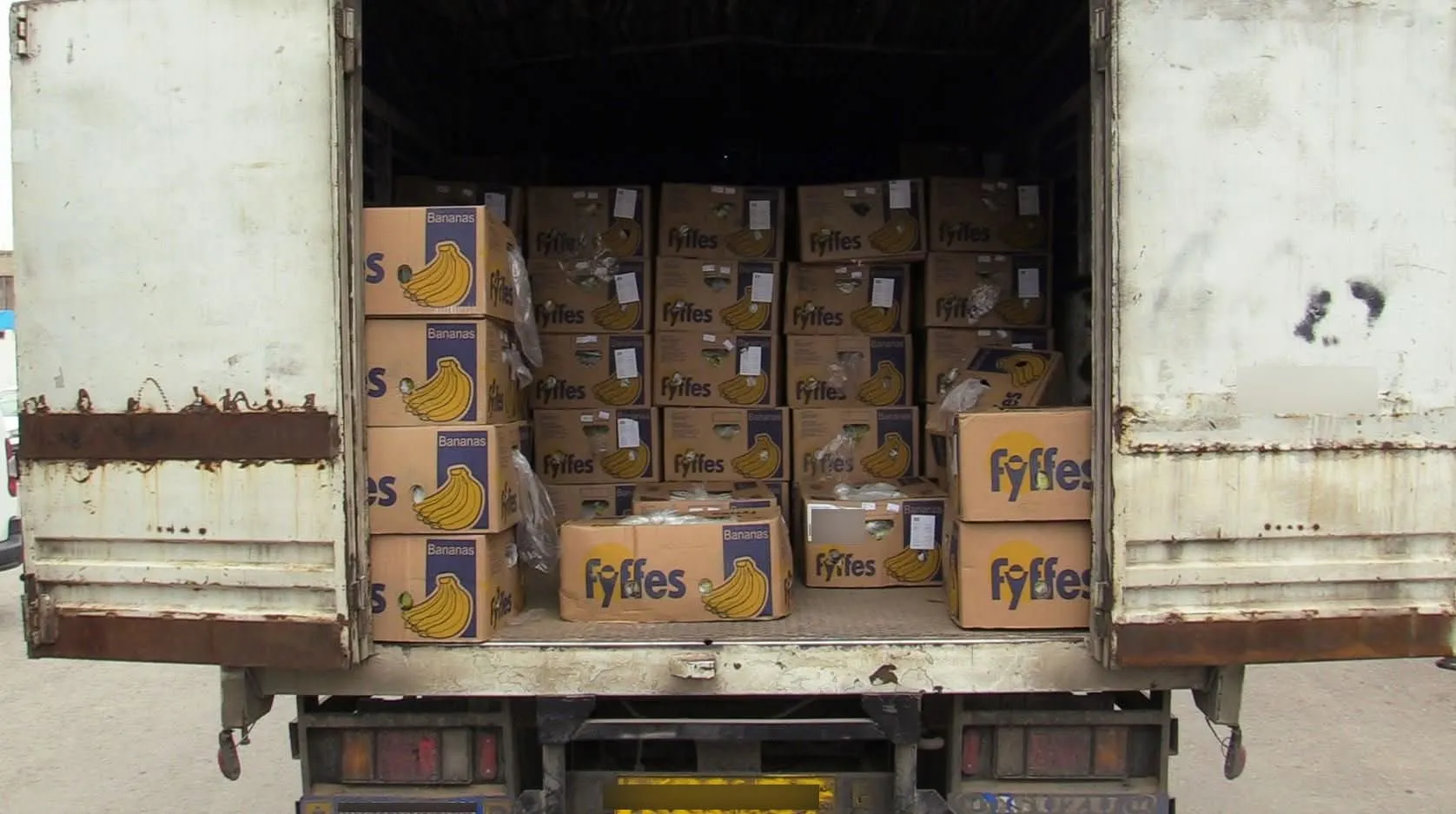 حجز أزيد من 146 قنطار من الموز في مستغانم