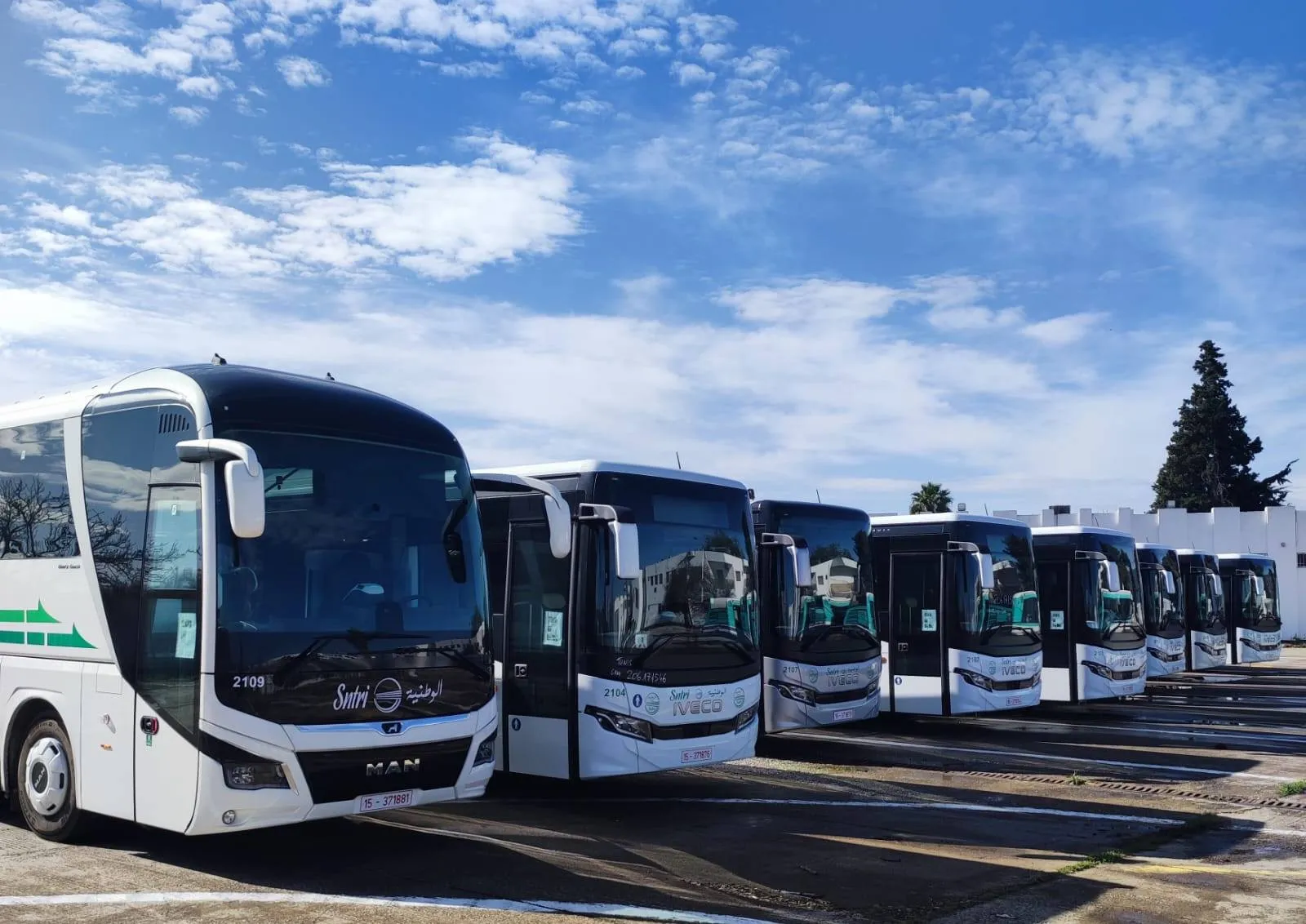 إطلاق خطين دوليين جديدين للنقل البري بين تونس والجزائر