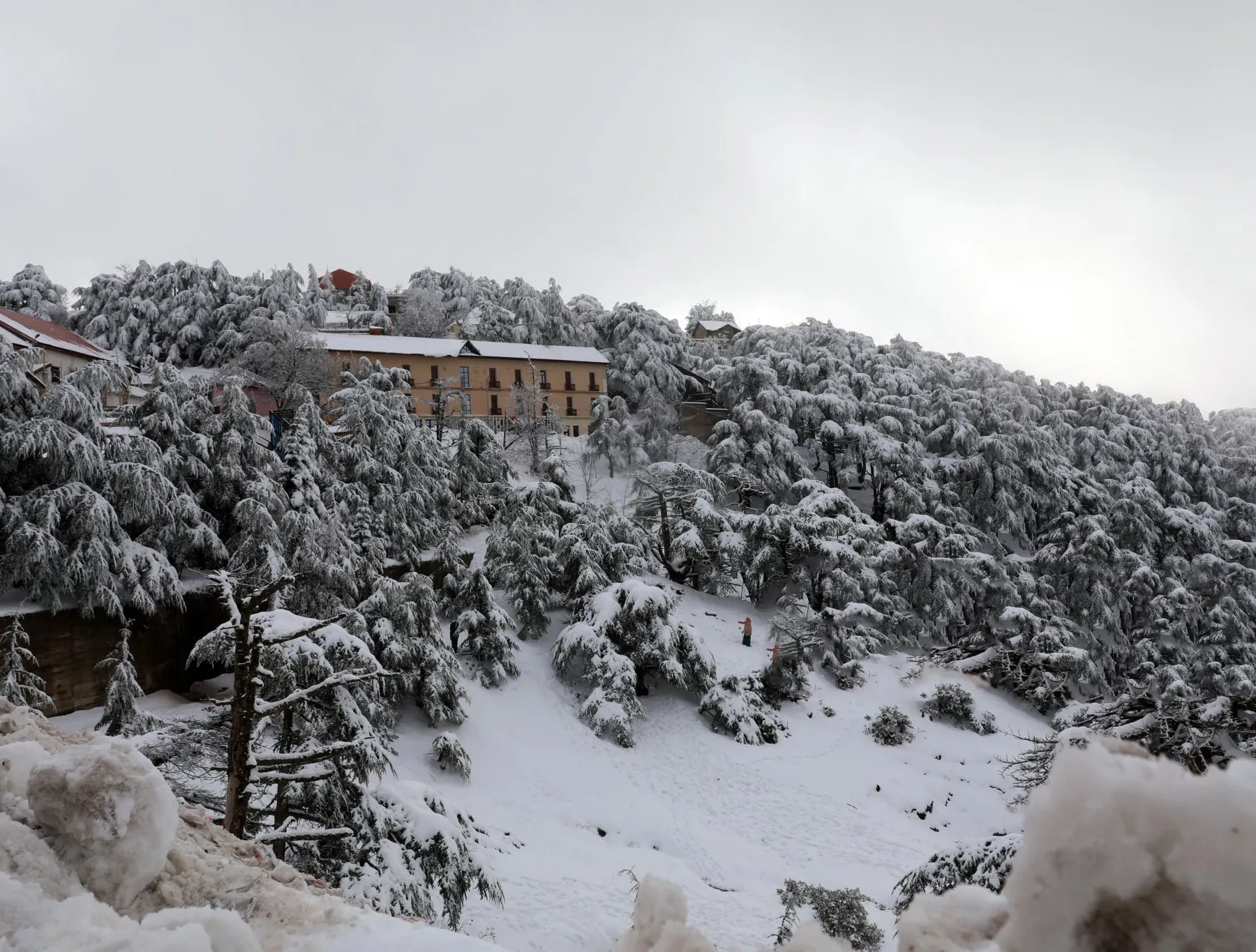 أمطار رعدية غزيرة وثلوج في هذه المناطق