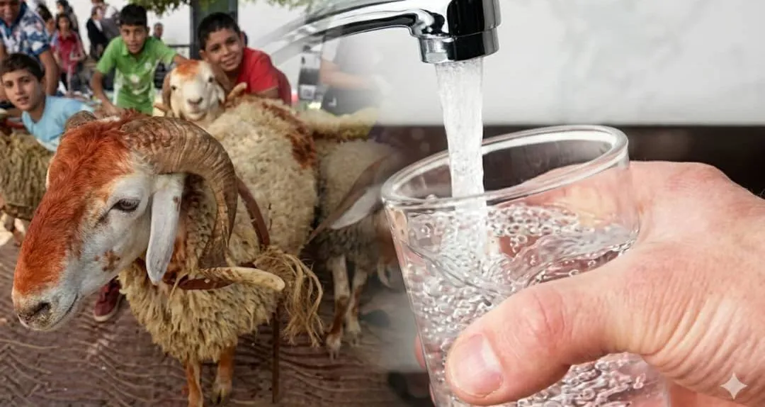 وزير الري يؤكد على ضمان مداومة فعالة قبل وخلال وبعد العيد