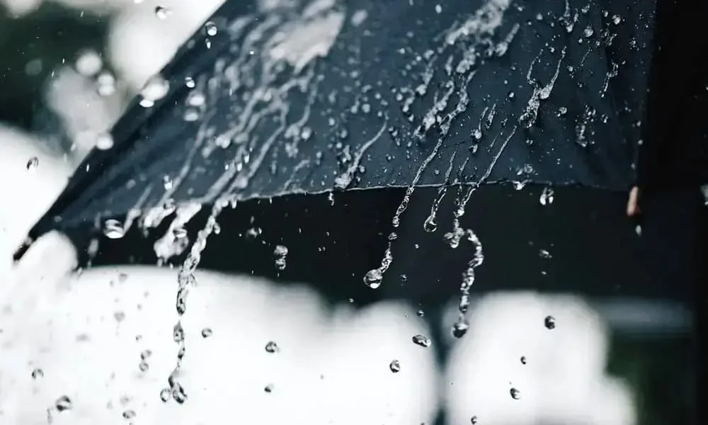 نشرية خاصة تحذر من أمطار رعدية غزيرة