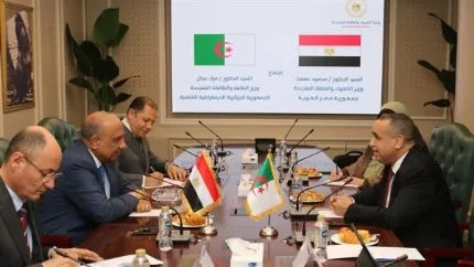 الجزائر: عجال يبحث مع نظيره المصري تطوير الشراكة في مجال الكهرباء والطاقة