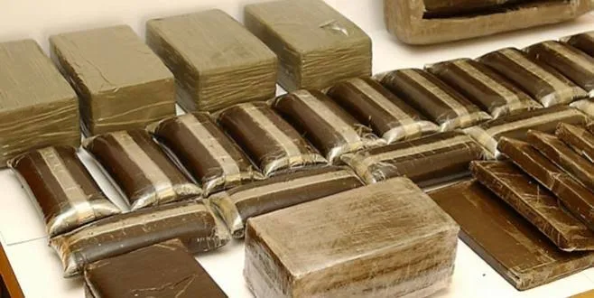 جمارك أدرار: إحباط محاولة تهريب أزيد من 300 كلغ كيف
