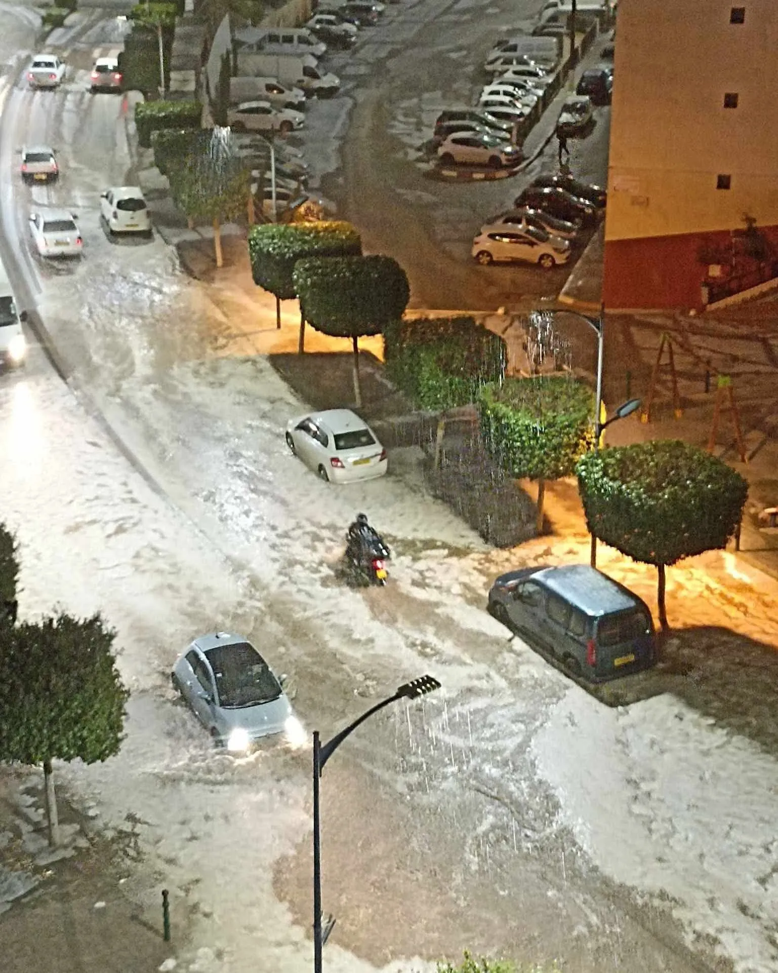 أمطار رعدية غزيرة إلى غاية الجمعة