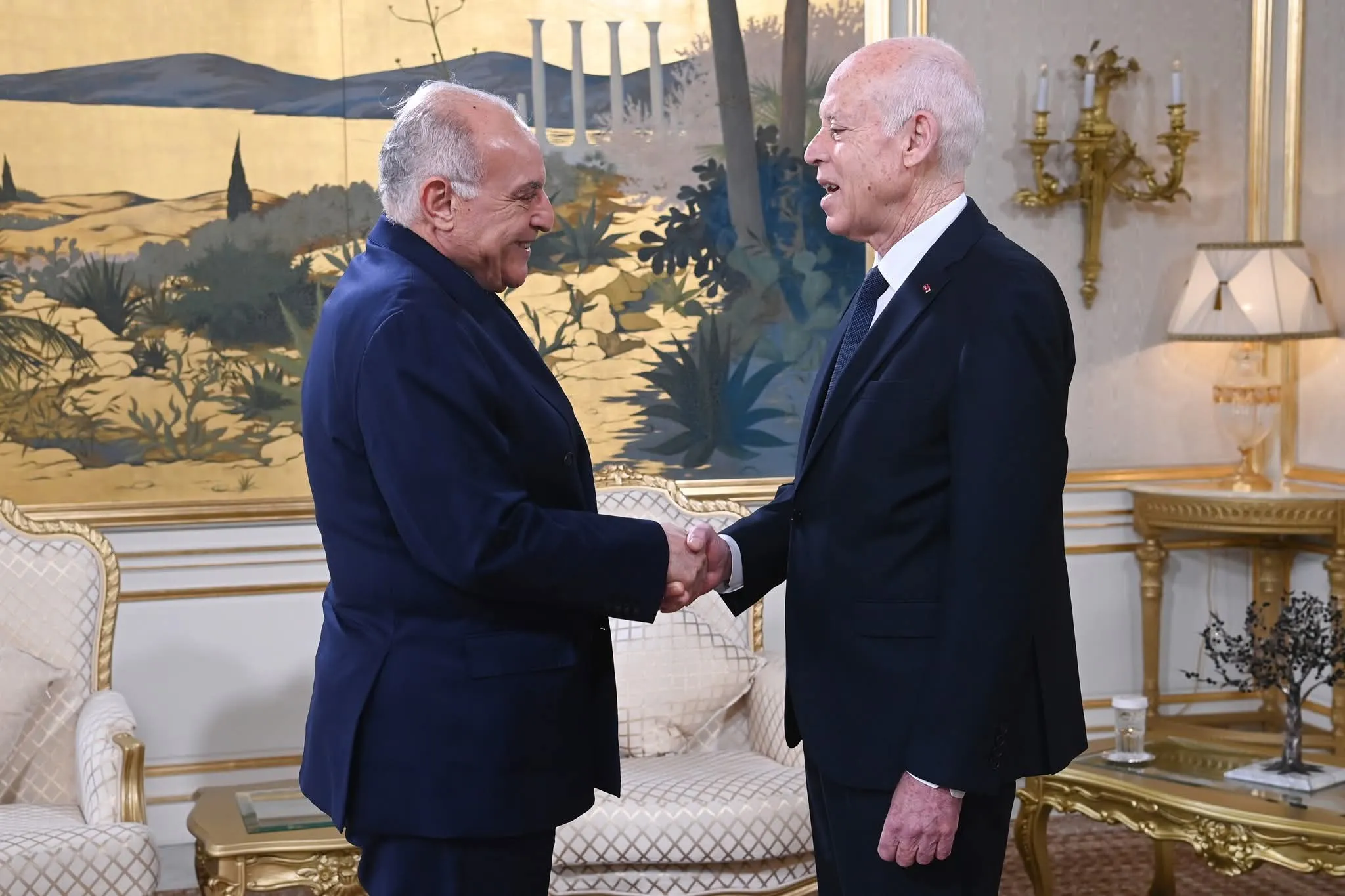 عطاف يستقبل من طرف رئيس الجمهورية التونسية قيس سعيد